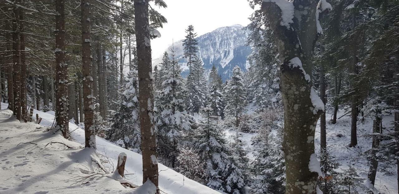 Stoffenhof Lägenhet Oberdrauburg Exteriör bild